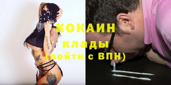 дживик Вязьма