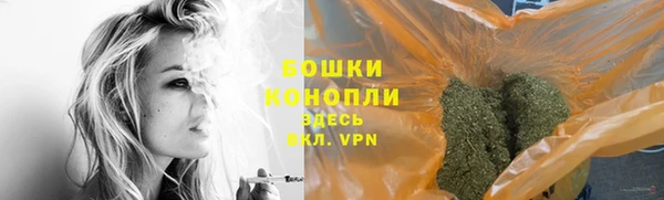 дживик Бикин