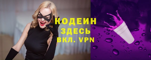 дживик Вязьма