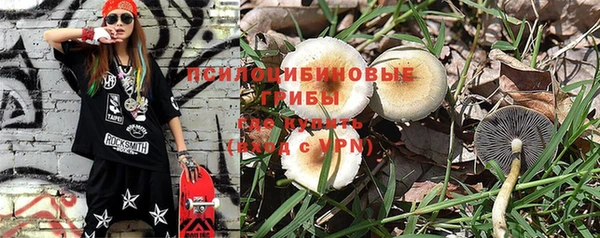 прущая мука Горняк