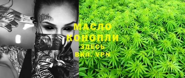 хмурый Вяземский